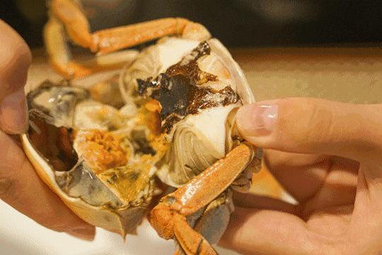 从320公里搬来“蟹中白富美”！北外滩酒店首创白兰地醉蟹畅吃！