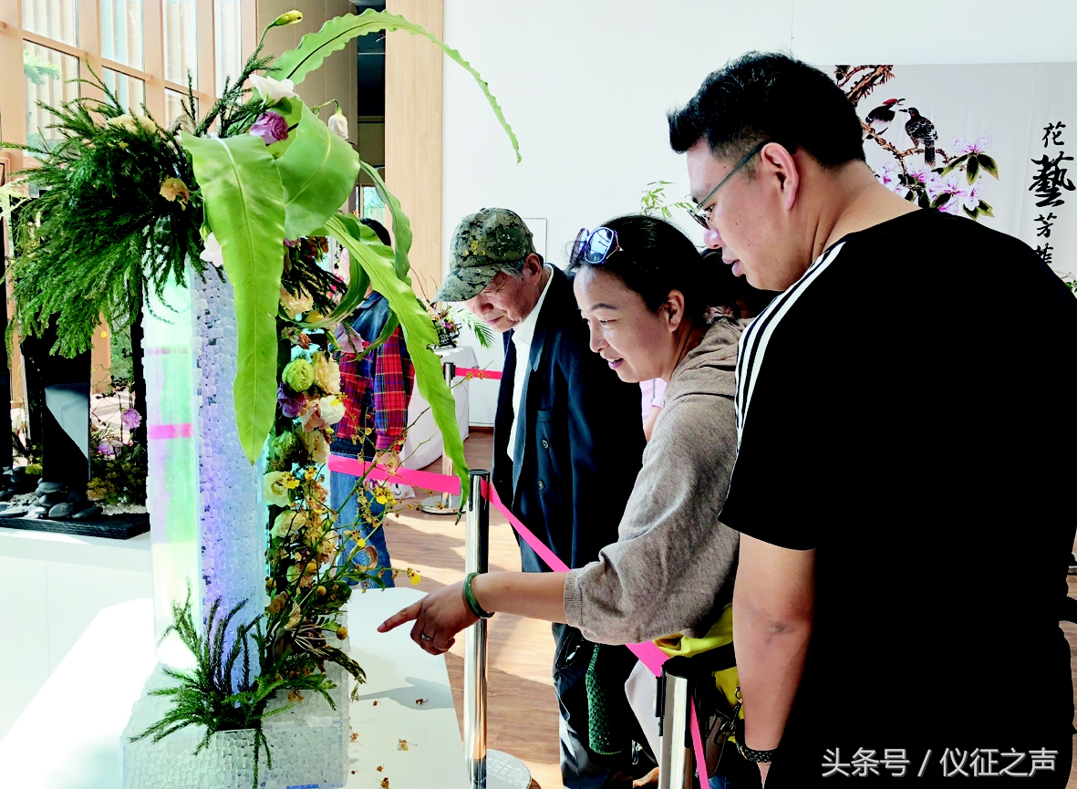 四方宾客聚会,四方宾客完整版