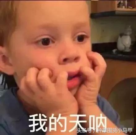 怎么看代购是真是假,真代购和假代购的区别