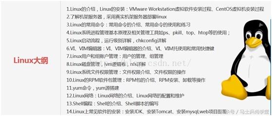 姣忓ぉ2灏忔椂澶氫箙鍙互鎴愪负鍙扮悆楂樻墜,姣忓懆2灏忔椂鎴愪负鐩存挱楂樻墜
