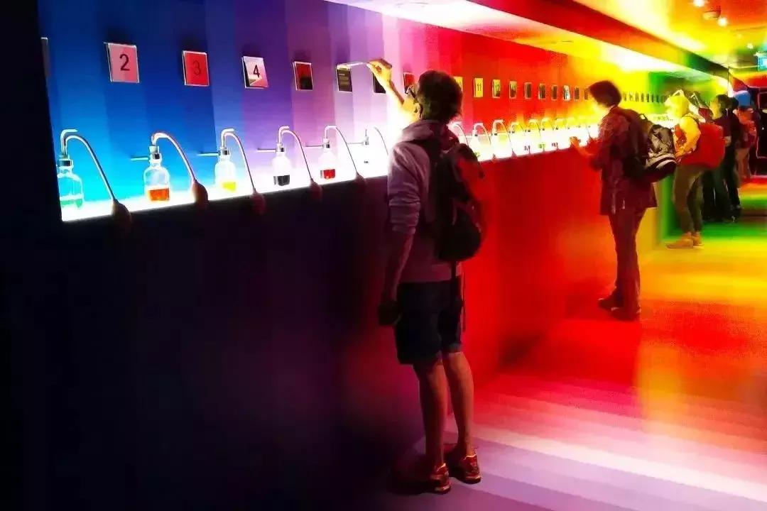 郁金香和风车在哪国,郁金香风车在哪个国家