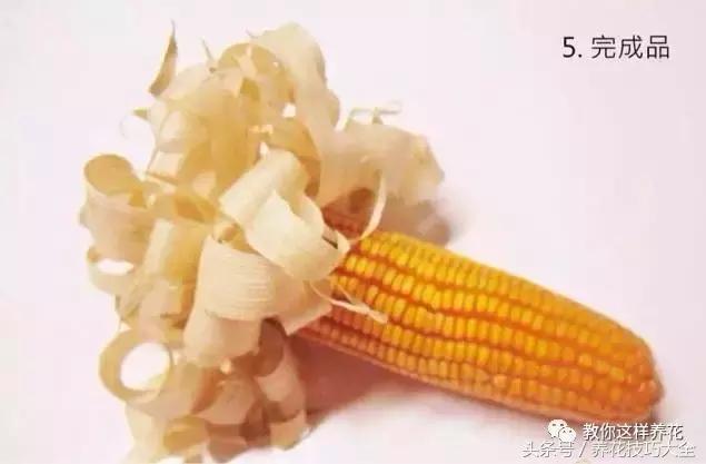 盆栽花生的变化,最好看的盆栽花生