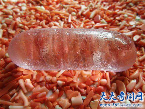 舍利子到底是怎么形成的,舍利子到底是怎么形成的原理