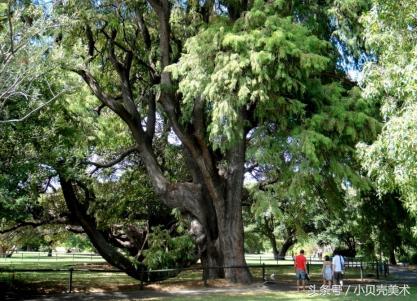 吹呀吹创意美术,创意美术我爱吹泡泡