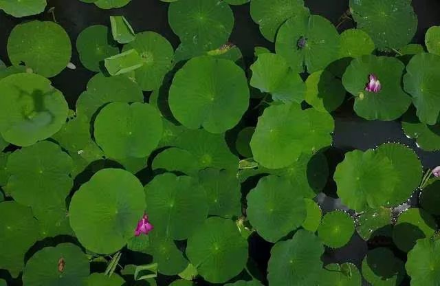 隐藏在山西的小众打卡地,山西旅游攻略小众景点打卡