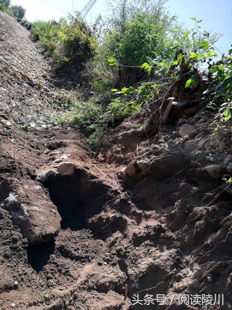 山西善缘养老院有限公司,最新念佛养老院