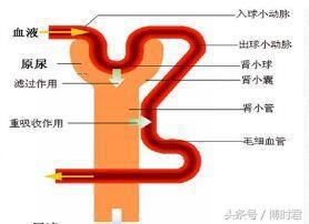 乘客坐滴滴喝两瓶水,乘客坐滴滴