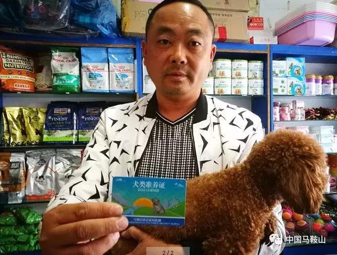 马鞍山城市禁止养这30类犬,马鞍山文明养犬规定
