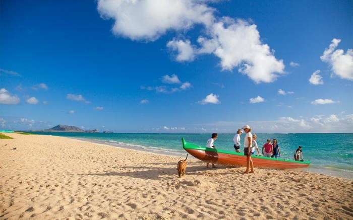 美国加州旅游攻略推荐,加州旅行攻略旧金山