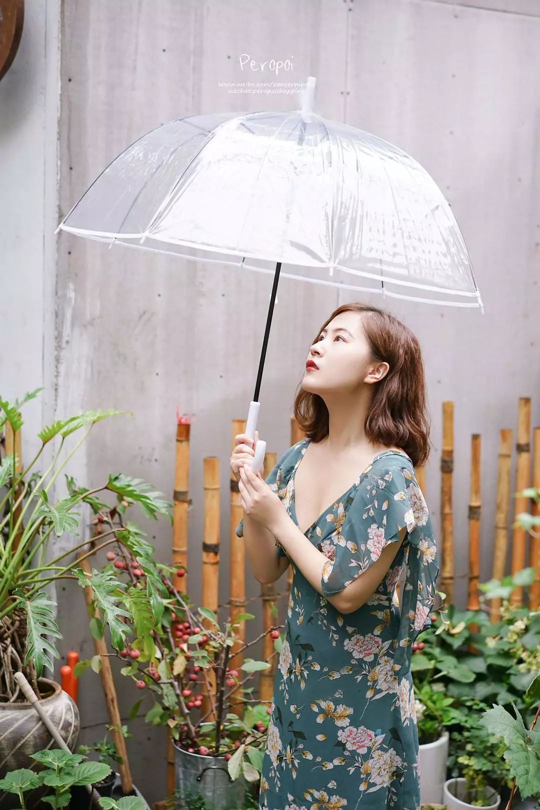 想做一个摄影师应该怎么开始,辞职做自由职业