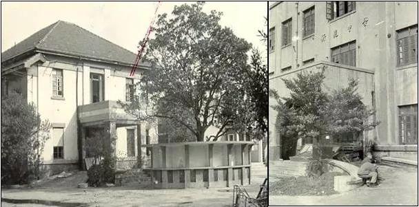 上海曾经有过哪些高校,上海沪新中学怎么样