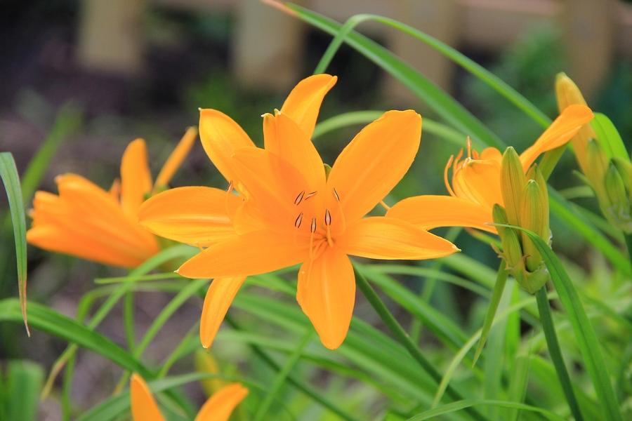 人在穷时要改掉自己的几个习惯,人穷时改掉三个习惯就会变富