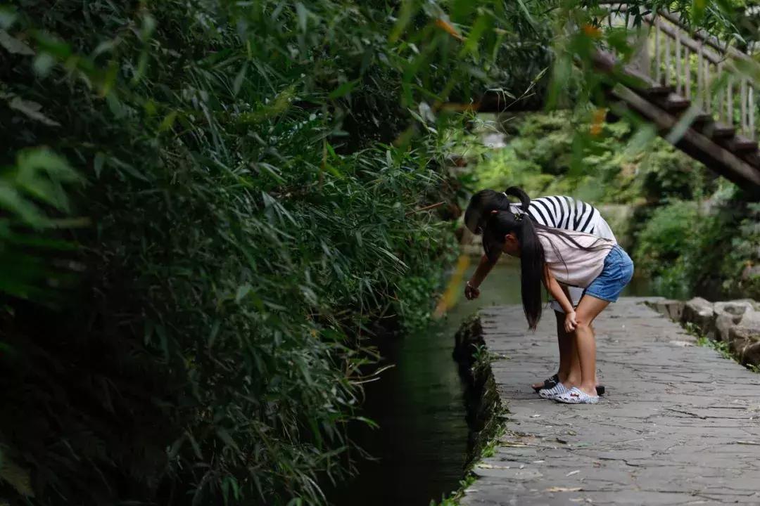 再谈伦纳德,eosr使用技巧