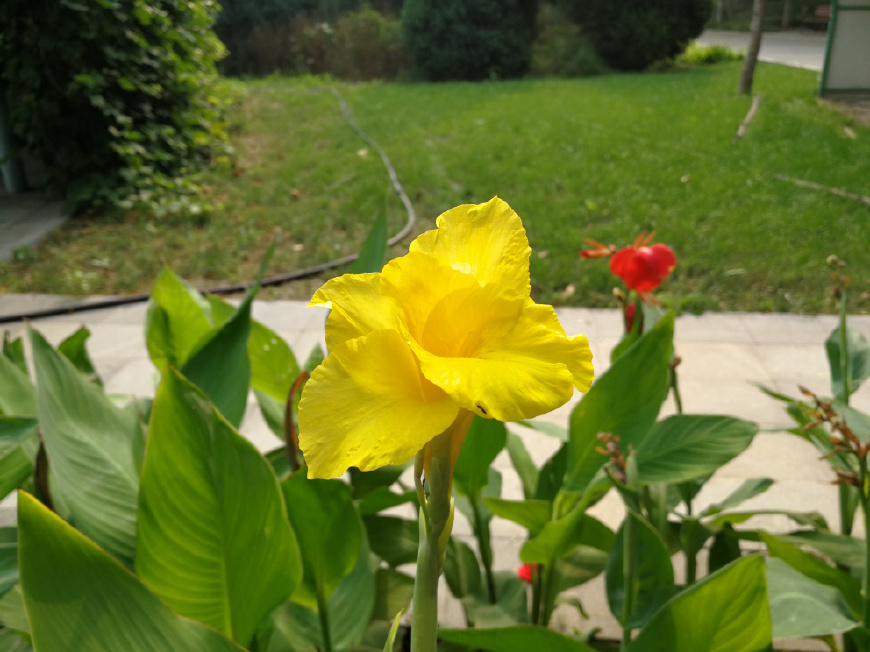 股市遇到挫折怎么办,股票千股跌停该怎么办