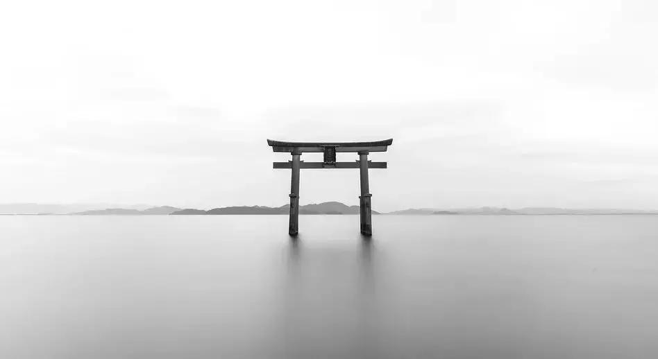 羊被羊弄受伤了用什么药最好,羊被薅毛气死