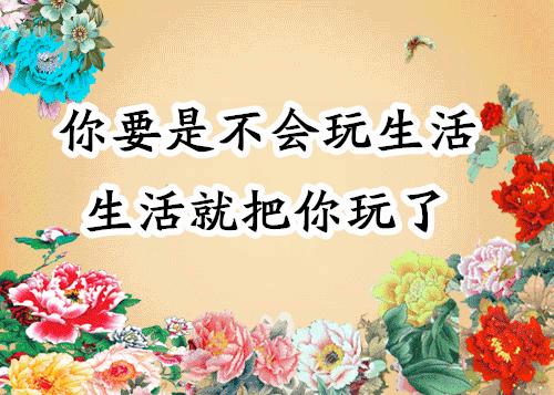 会动的图片21张太美了,会动的风景图片大全