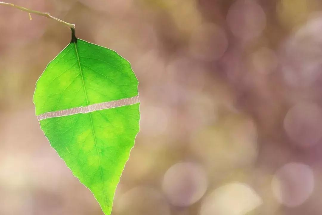 两个人相处不是一味的付出和迁就,两个人相处沉默最致命