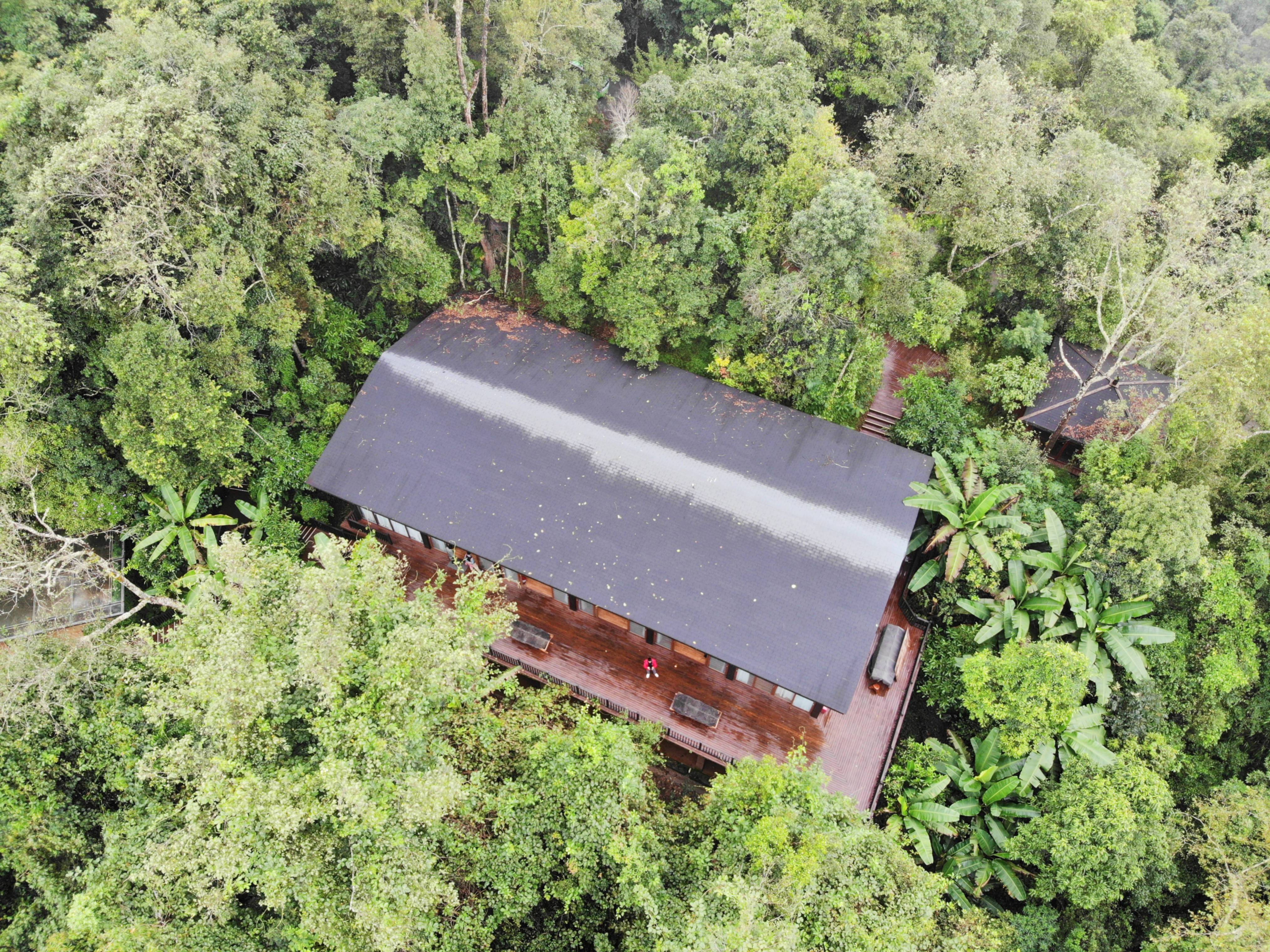 光唱歌就能给村里分红,曾祭人头的神秘佤族,走进你不知道的云南