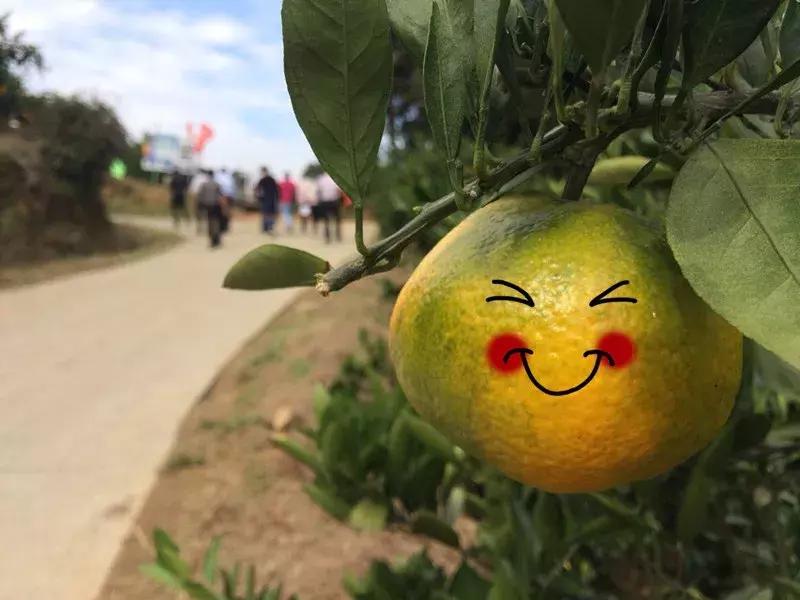 这一口甜蜜，让几百个三明人恋爱了