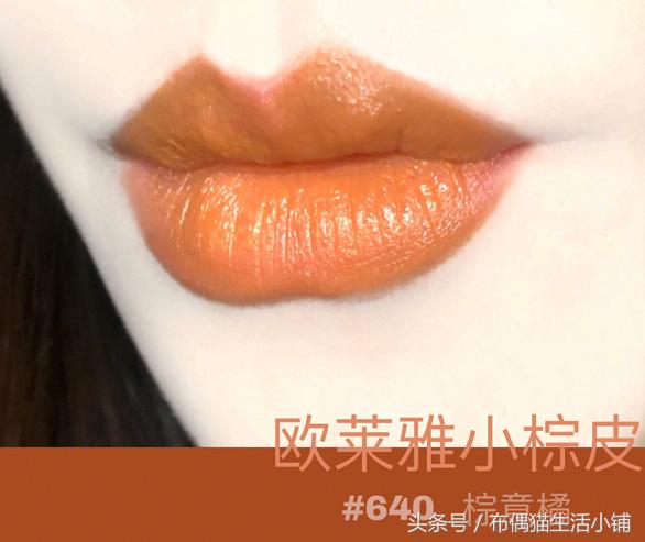 欧莱雅小棕皮口红全套试色，这一款最适合黄皮啦~