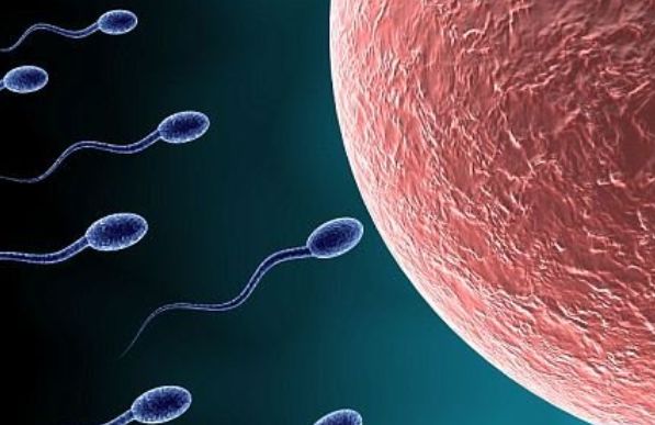 没成功进入子宫的“精子”去哪儿了？看完就知道了，别不好意思！