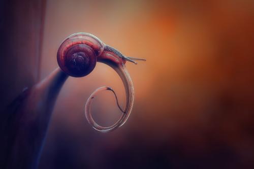 忘掉前任的最好方法,彻底忘记一个人的方法名言