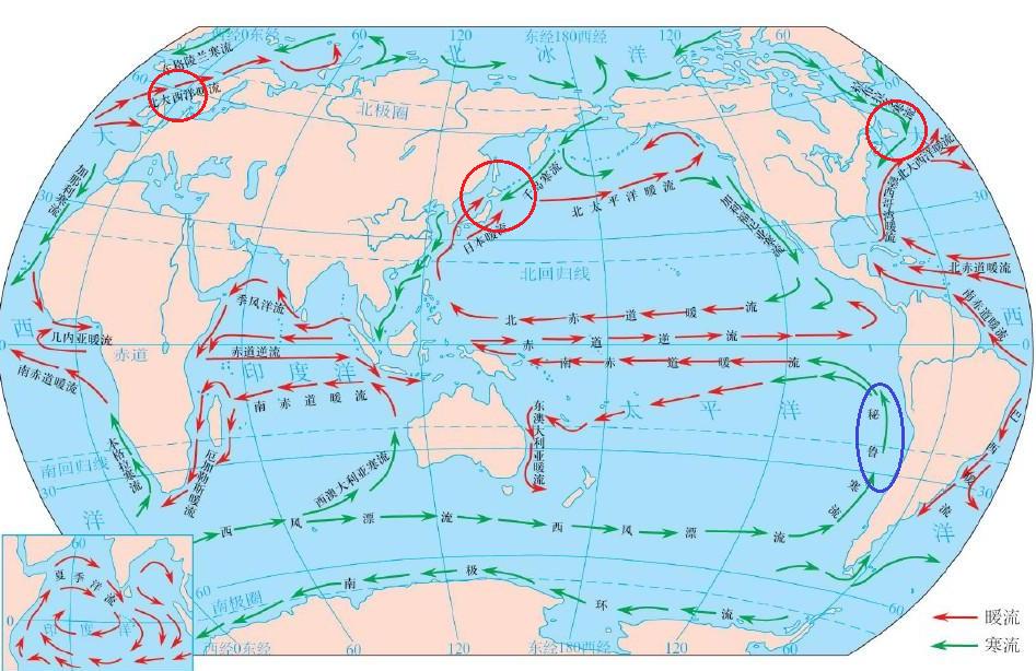 海洋渔业主要分布在我国什么地区,我国海洋渔业资源具有哪些特点