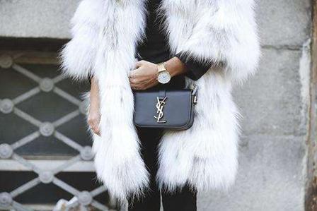 养貂赚钱,现在养貂赚钱么