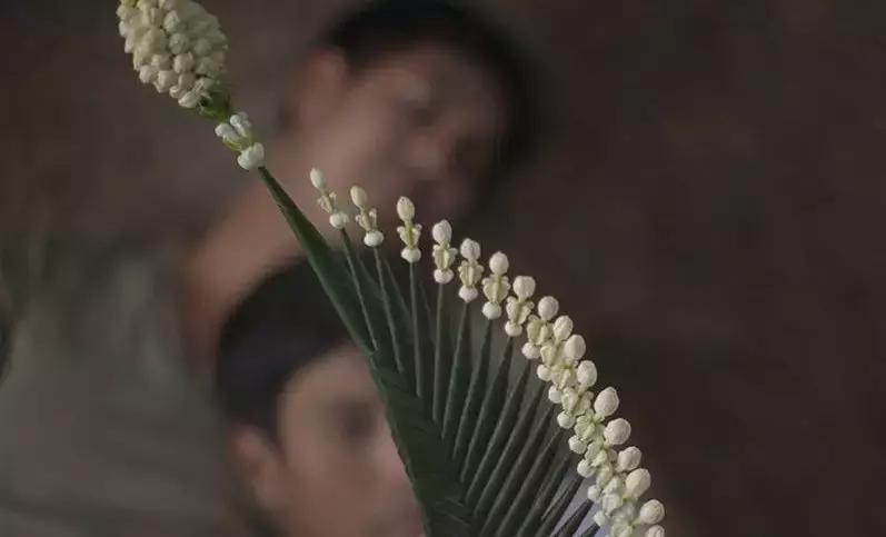 申奥全集,全球各国申奥宣传片