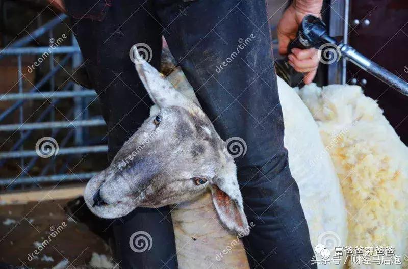 注意了提前还款要谨慎,千万别分期还款