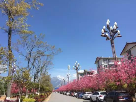 「冬令营」醉美云南·漫步丽江——浩然动力心理成长游学营