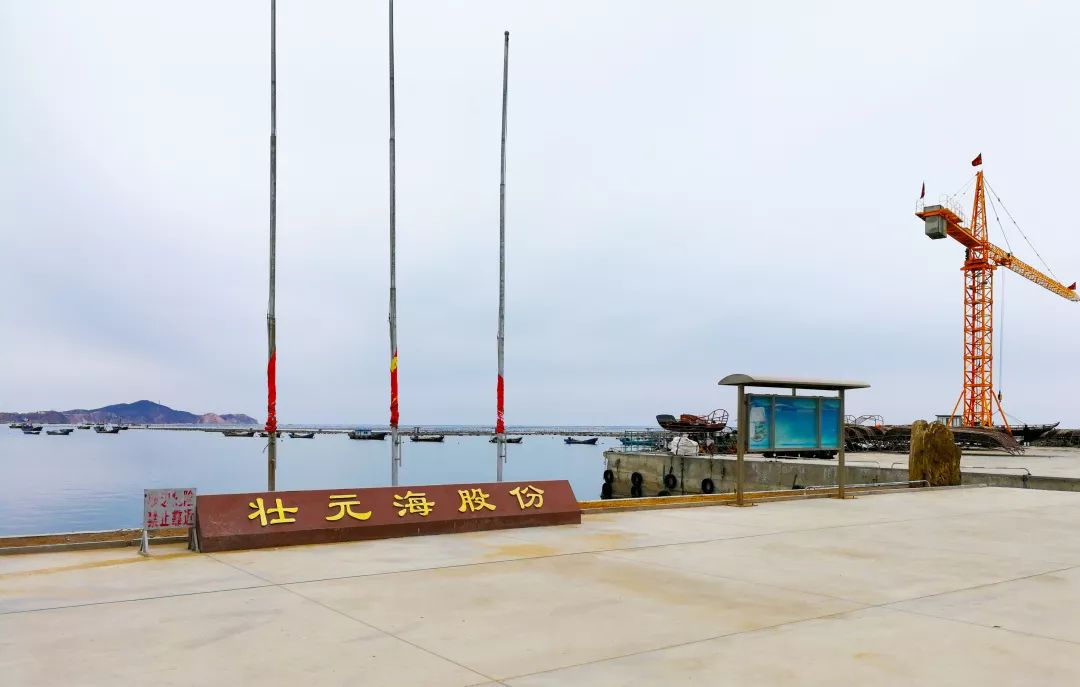 预告｜易采鲜生即将亮相青岛渔博会，招募全国运营商！