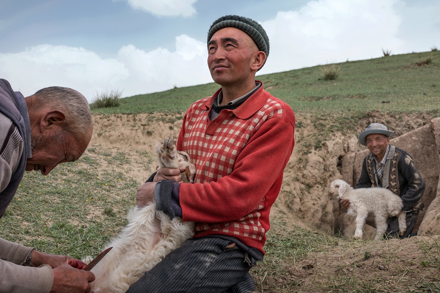 介绍丝绸之路视频,丝绸之路详解