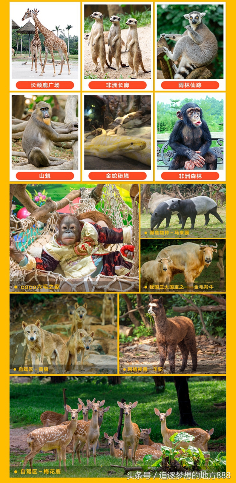 珠海长隆科学酒店攻略,长隆套票二天一晚攻略