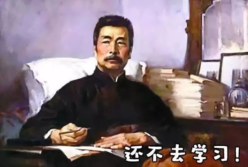 宠物皮肤病科普和治疗,宠物医生奇葩问题