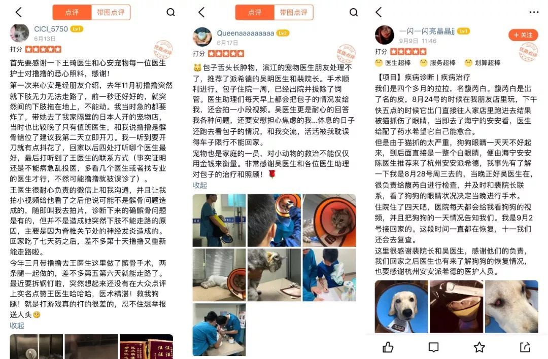 宠物皮肤病科普和治疗,宠物医生奇葩问题