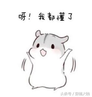 玩的就是心跳你能射击闯过多少关,玩的就是心跳闯关