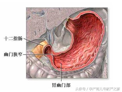 8个月宝宝吞咽辅食困难怎么办,宝宝吃辅食吞咽能力差怎么办