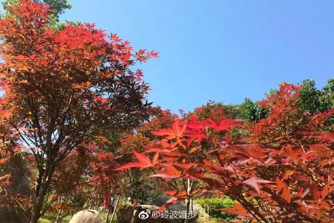 重阳登高旅游攻略,广州重阳登高详细攻略