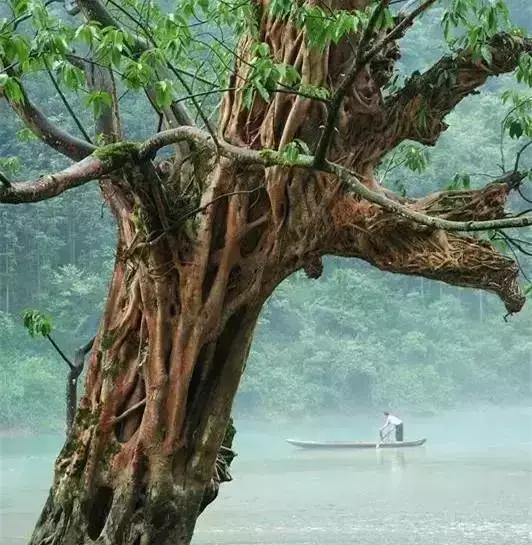 不输西安，媲美洛阳，乐山这个地方被人遗忘却美了千年