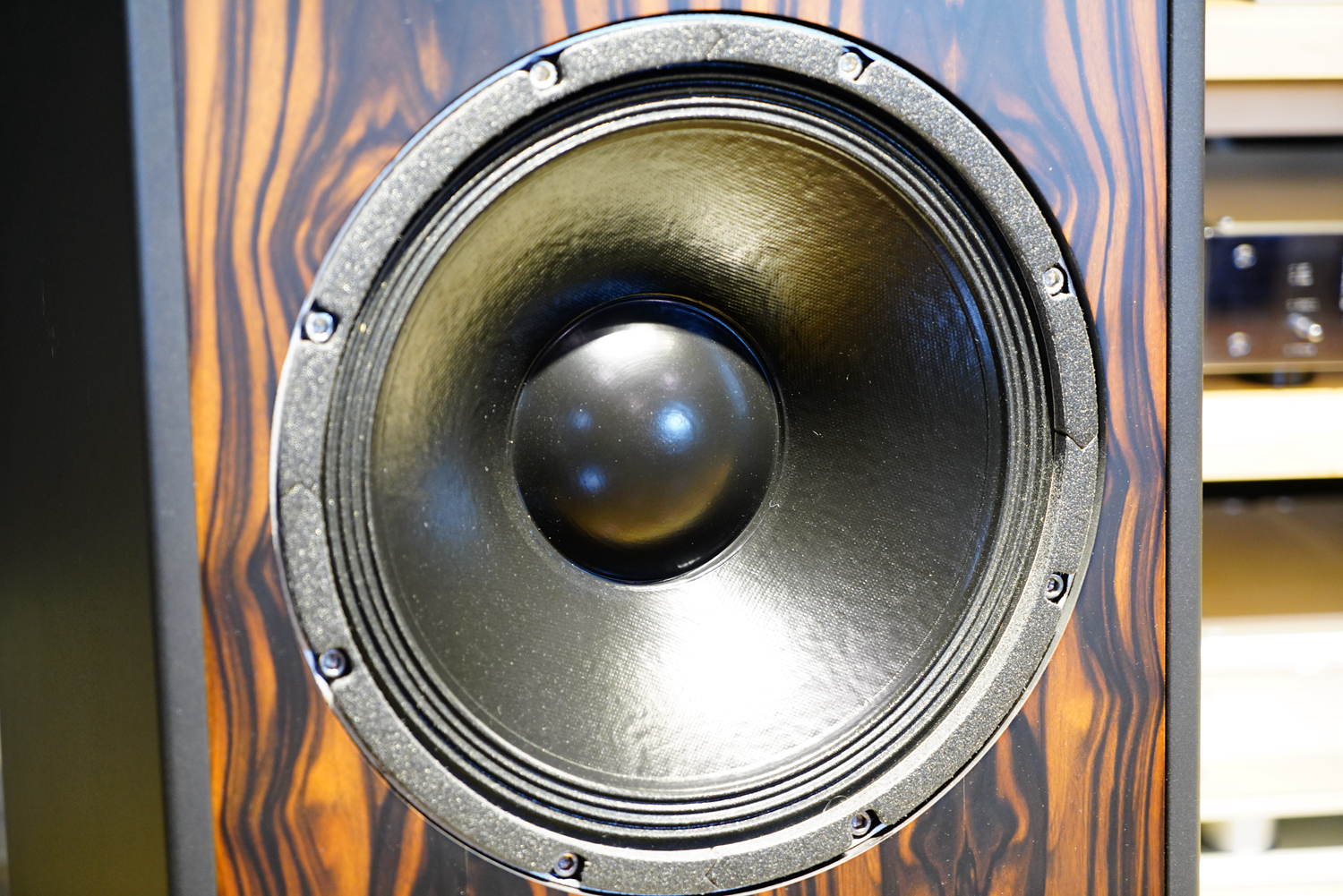 如美玉,德国dynamikks音箱