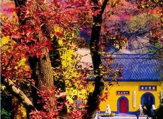 栖霞买房哪个地方最好,南京栖霞的房子能买吗