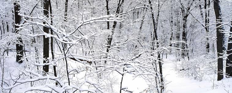 数码单反摄影教程,数码单反摄影进阶完全教程