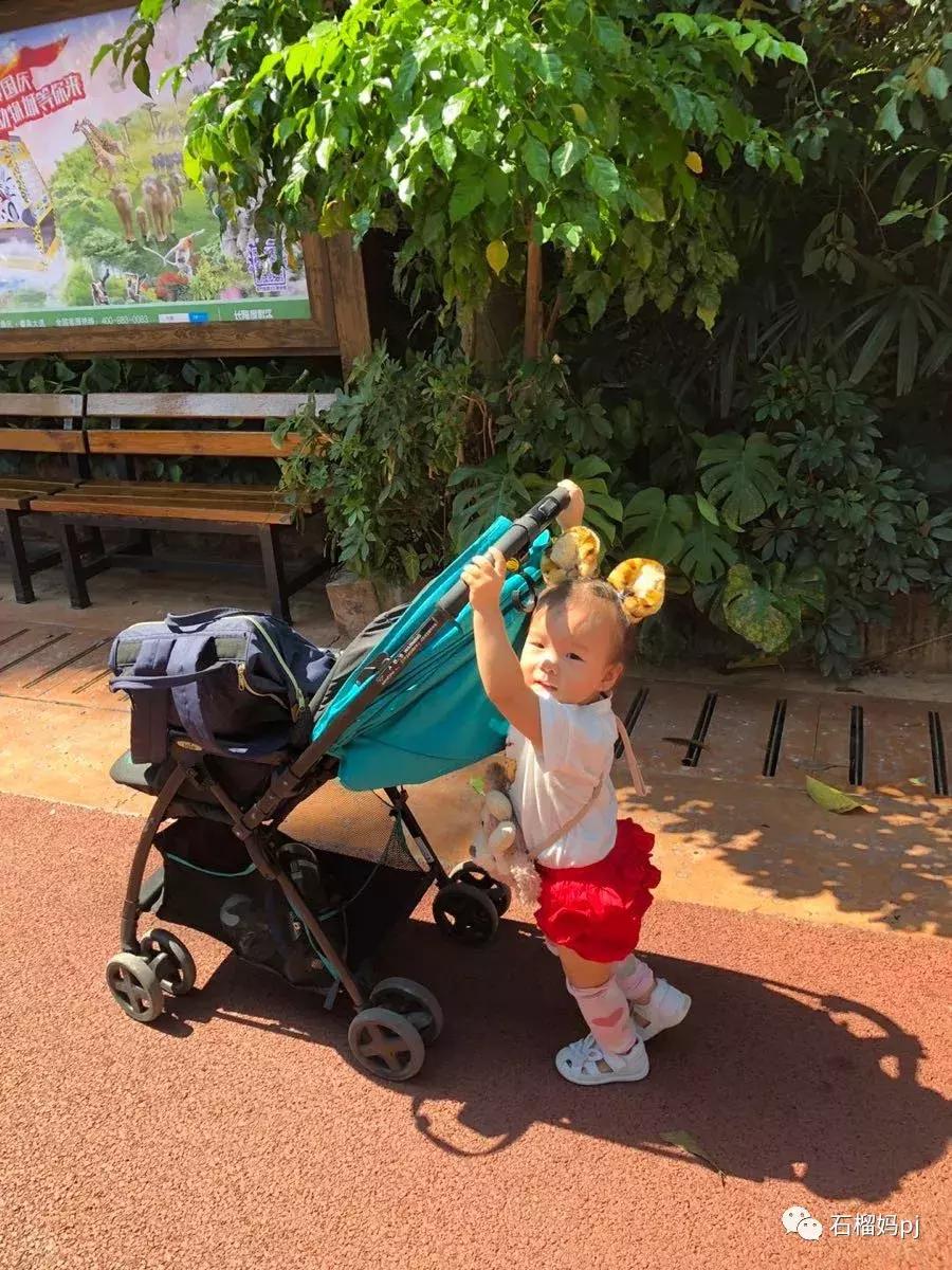 长隆欢乐世界和长隆野生动物园,广州长隆野生动物园侏罗纪公园