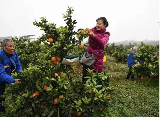 甜甜的怀化城市风景,甜甜的怀化完整版原唱