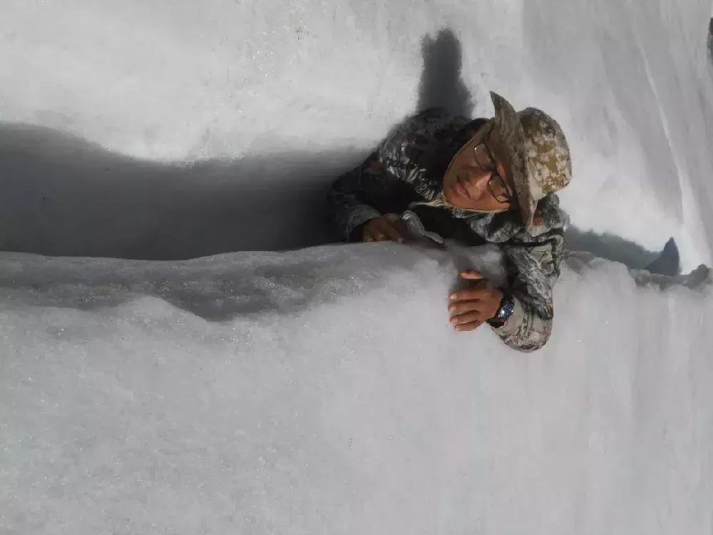 在山里遇到野猪怎么保护自己,在野外踩到蛇窝了怎么办
