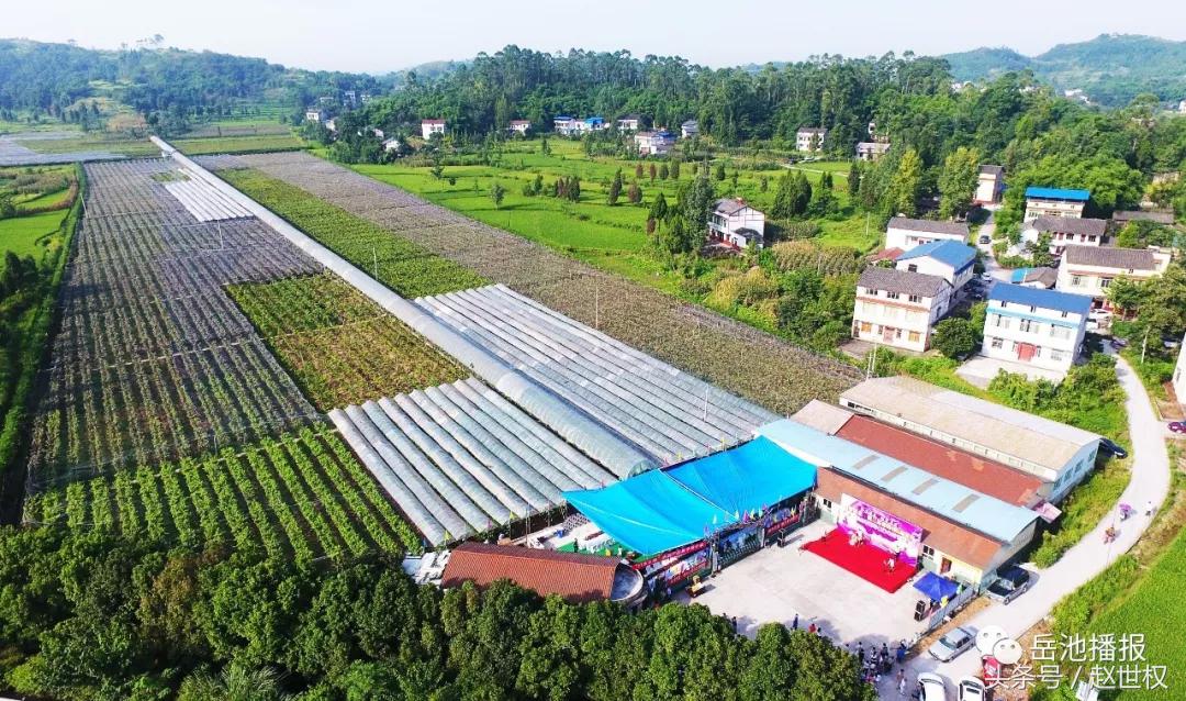 岳池最近发展,岳池未来如何发展