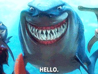 一男子跳进鲨鱼池,美国一男子跳进水族馆鱼缸