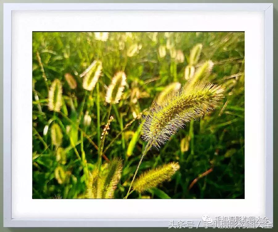 干货10秒教你照片调色,十秒让你的照片高清调色