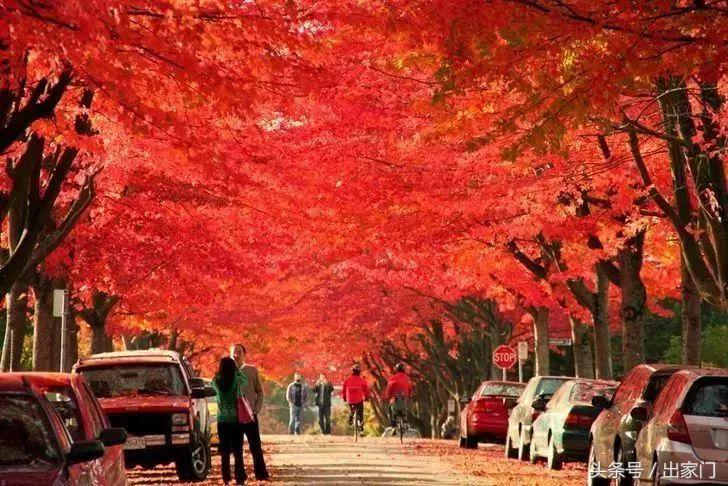 跟着发哥和郭天王,探秘《无双》取景地